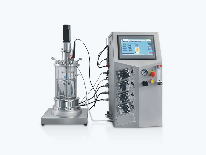 Stirred-Tank-Bioreactor