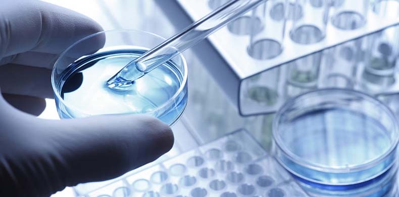 Biopharmaceutical R&D.jpg
