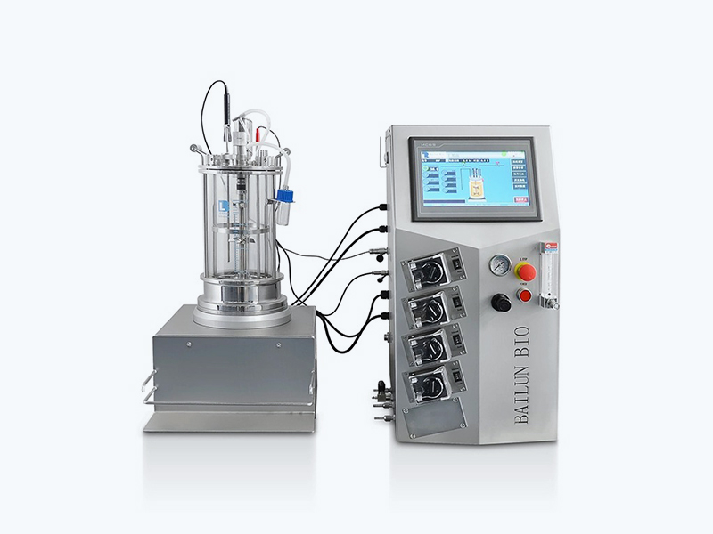 Perfusion-Bioreactor