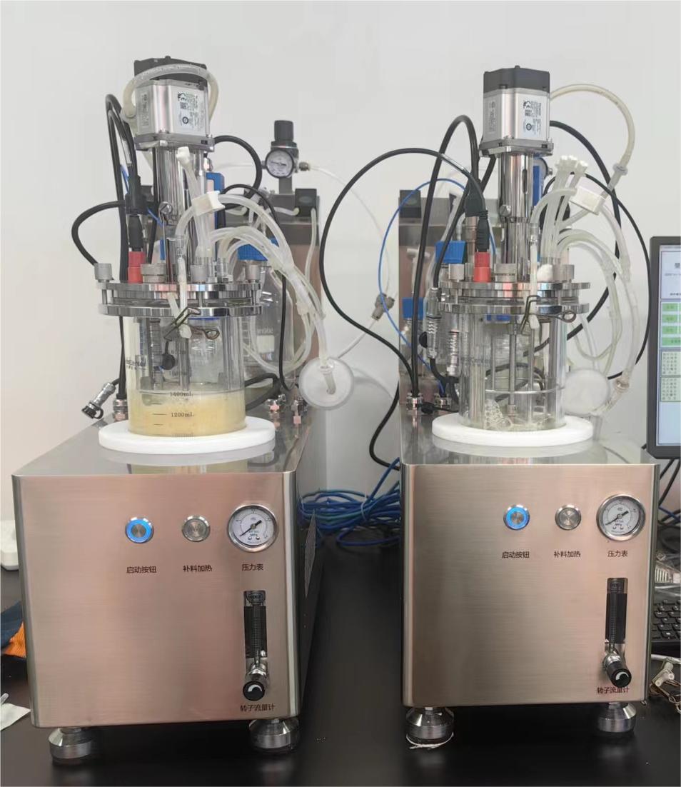 Micro Bioreactor Can Be Customized