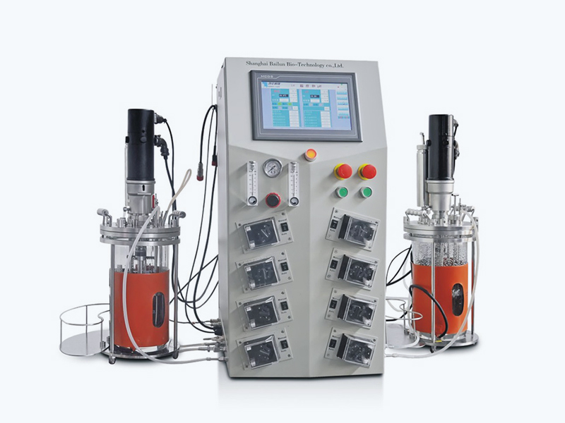 Glass-Bioreactor